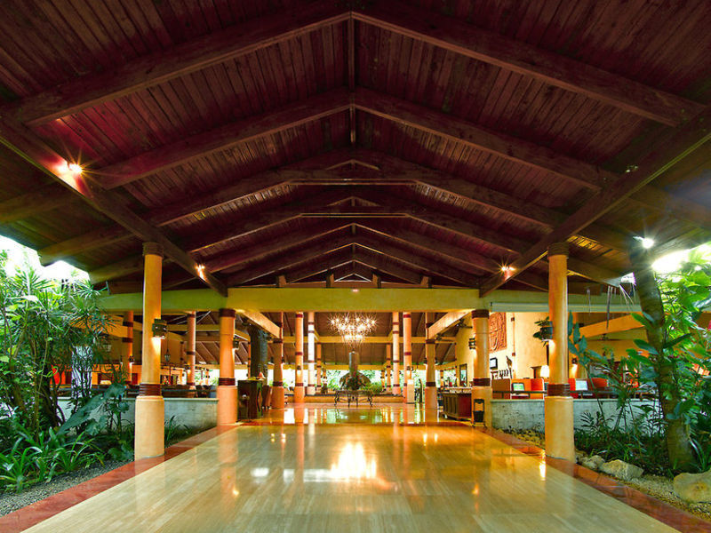 Palladium Complex