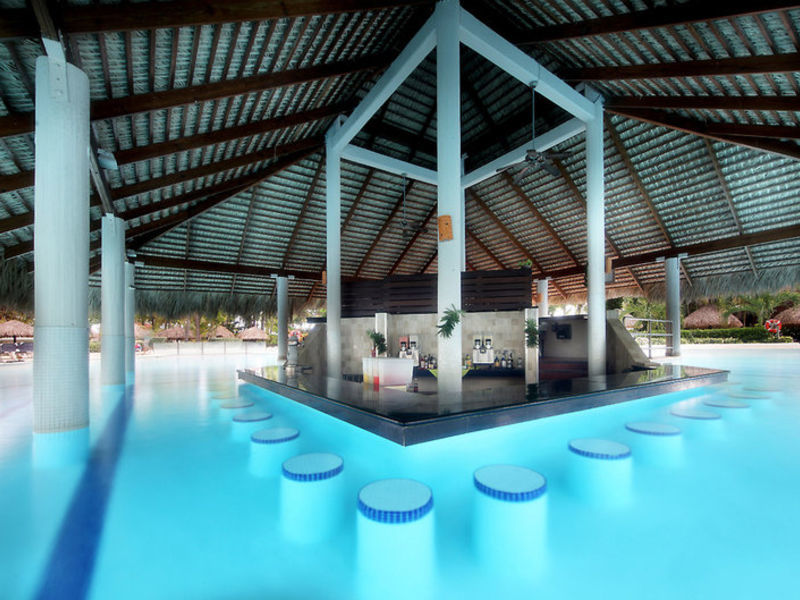 Palladium Complex
