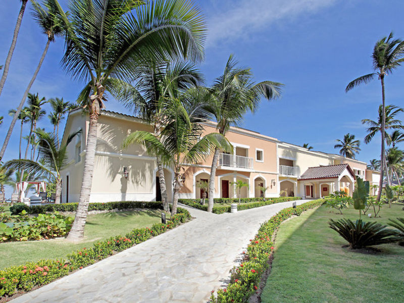 Palladium Complex