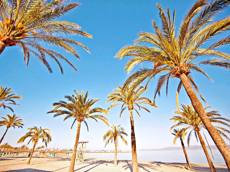 Palma Bay Club Resort
