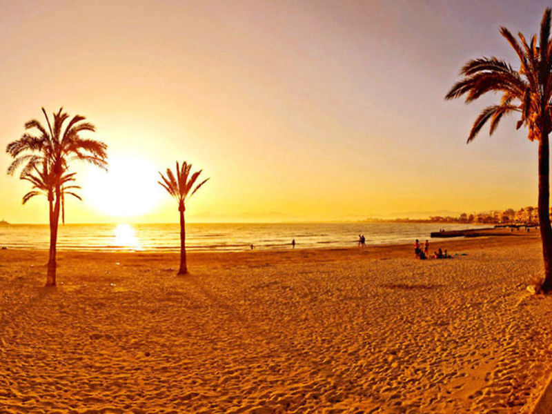 Palma Bay Club