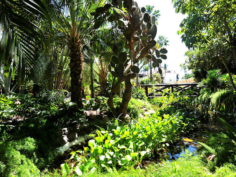 Parque Tropical