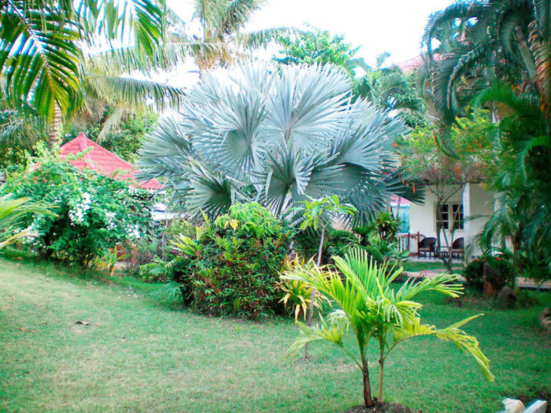 Patong Palace