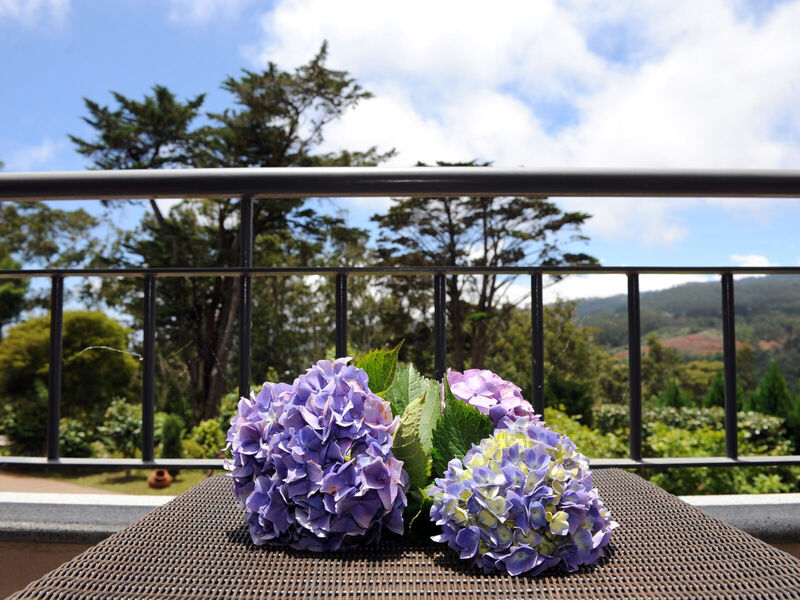 Quinta Da Cova Do Milho