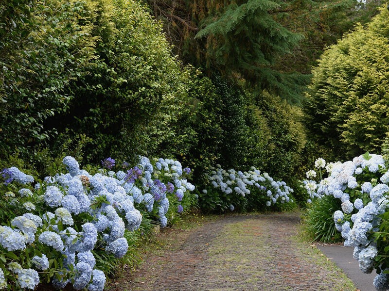 Quinta Da Cova Do Milho