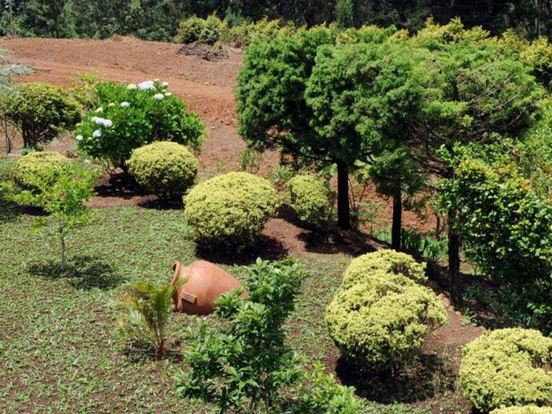 Quinta Da Cova Do Milho