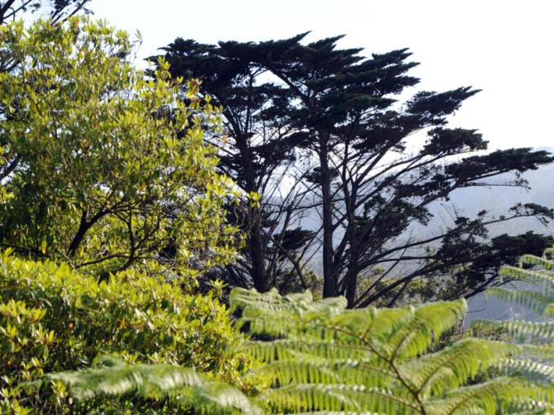 Quinta Da Cova Do Milho