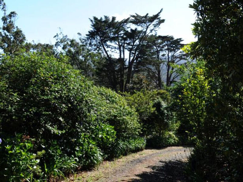 Quinta Da Cova Do Milho