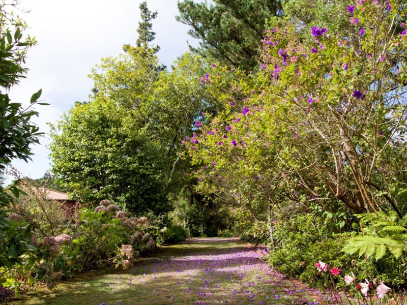 Quinta Santo Antonio Da Serra