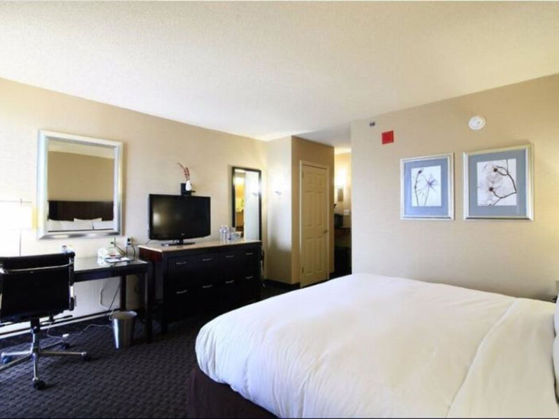 Radisson Hotel Jfk Airport