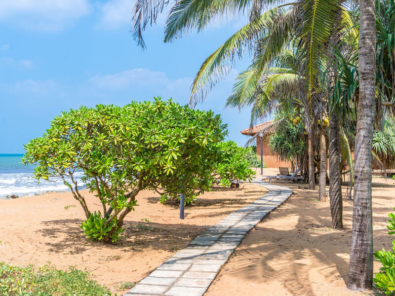 Ranweli Holiday Village