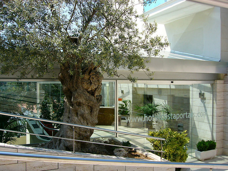 RD Costa Portals