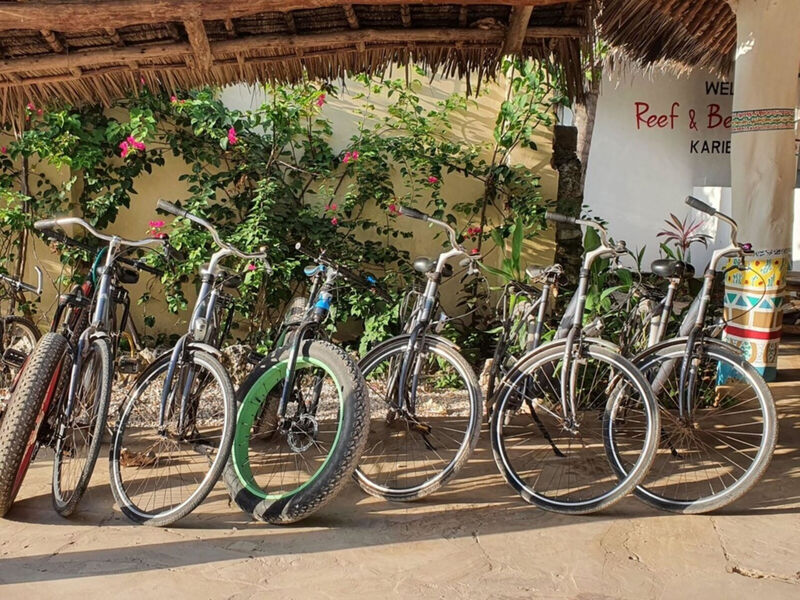 Reef And Beach Resort