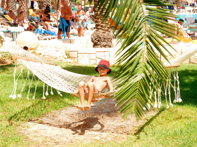 Riadh Palms