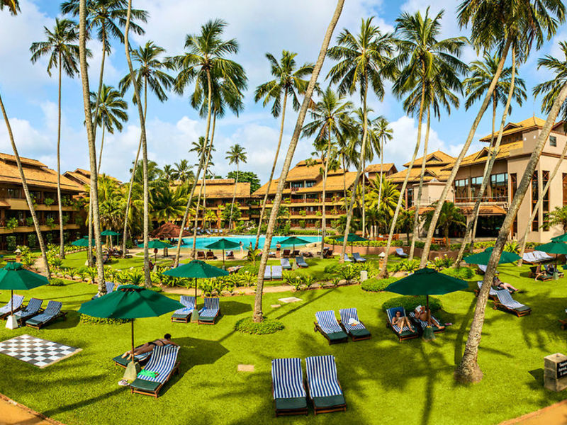 Royal Palms