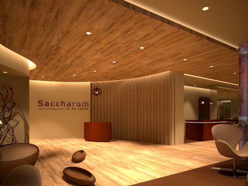 Saccharum