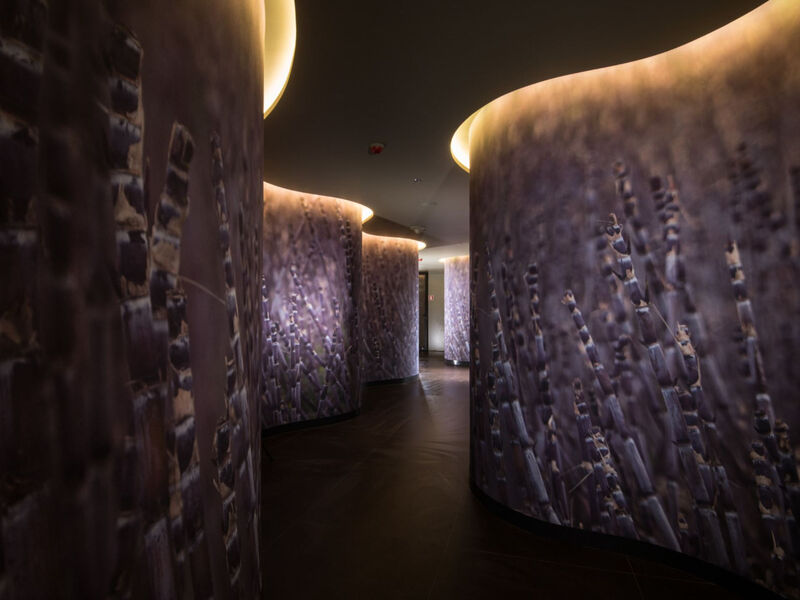 Saccharum Resort &Amp; Spa