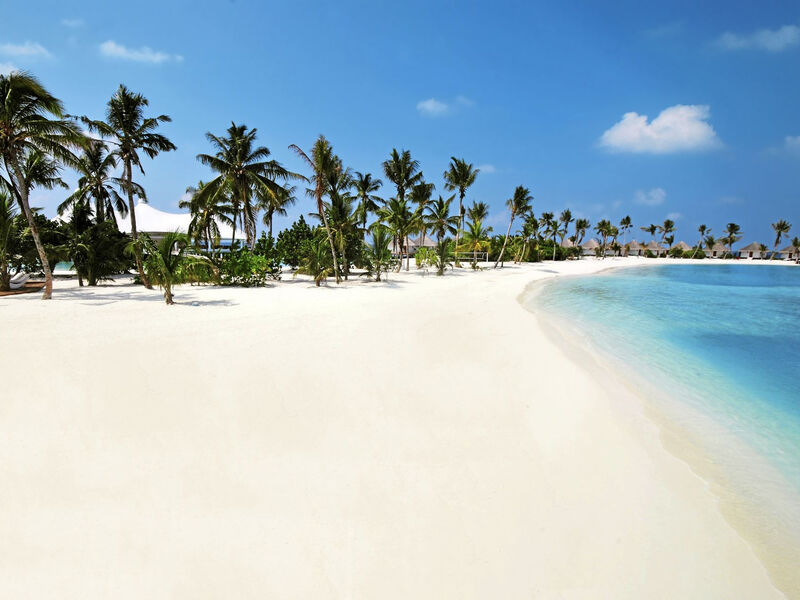 Safari Island Resort