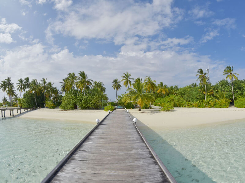 Safari Island Resort