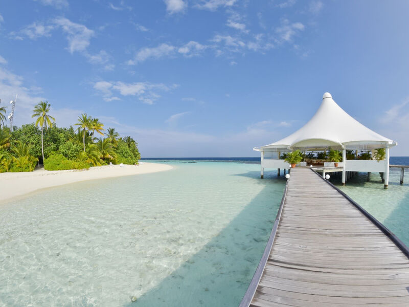 Safari Island Resort