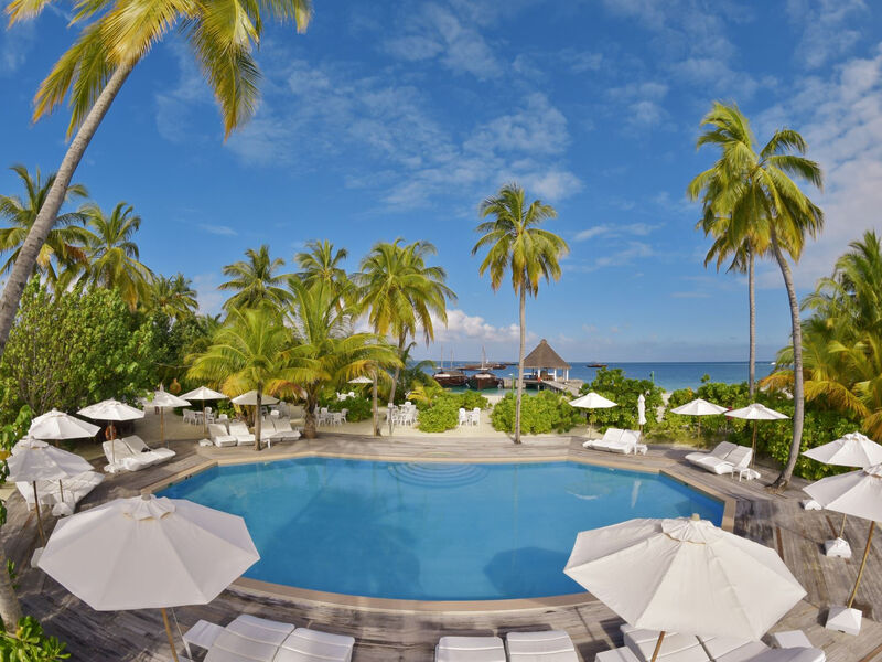 Safari Island Resort