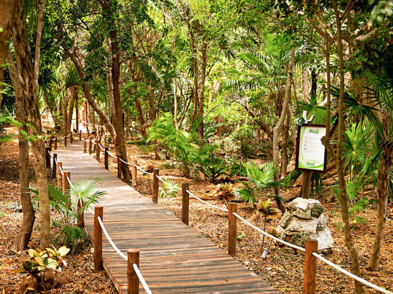 Sandos Caracol Eco Resort