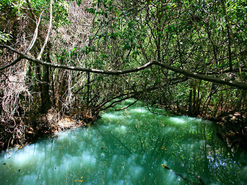 Sandos Caracol Eco Resort