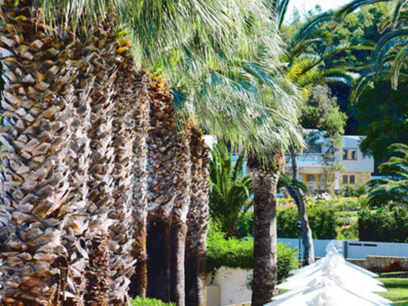 Sani Beach Club