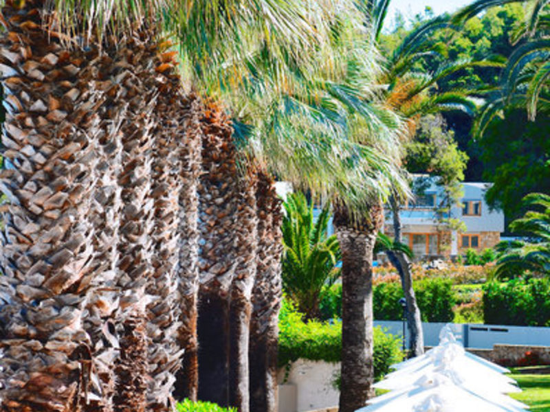 Sani Beach Club
