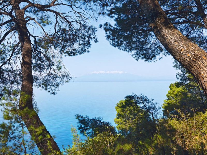 Sani Beach Club