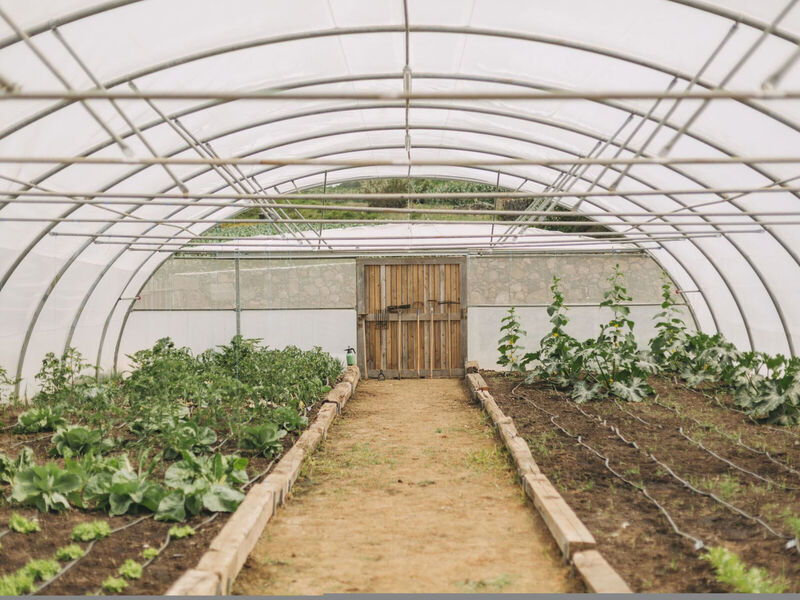 Santa Barbara Eco Beach Resort