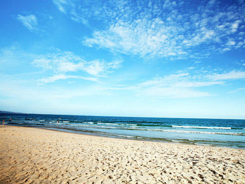 Seahorse Resort & Spa