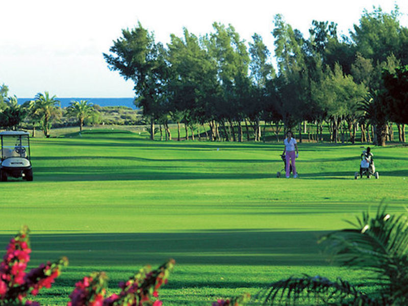 Seaside Hotel Palm Beach
