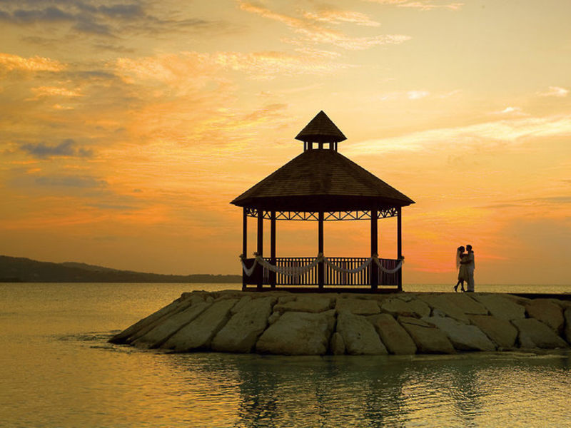 Secrets Wild Orchid