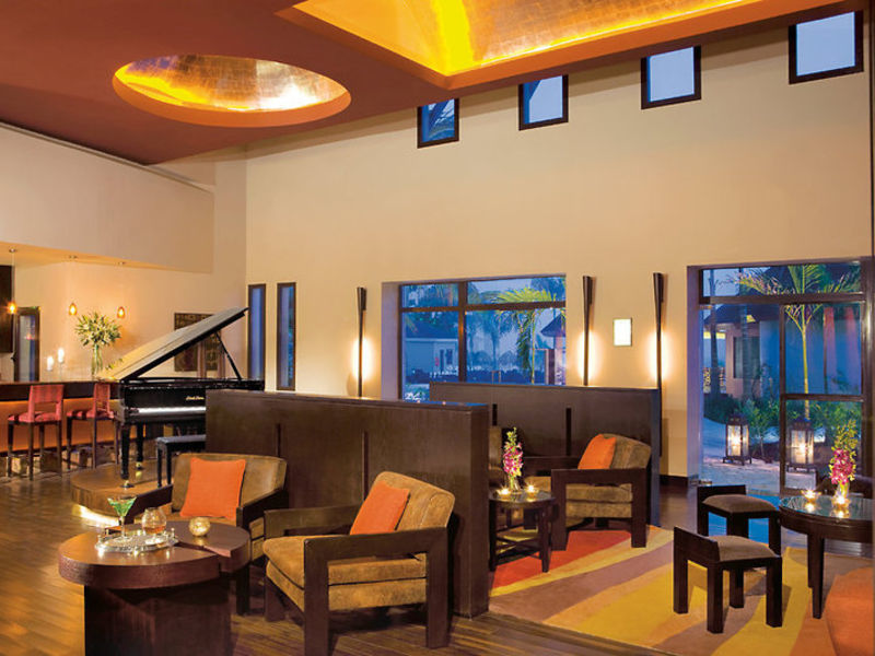 Secrets Wild Orchid