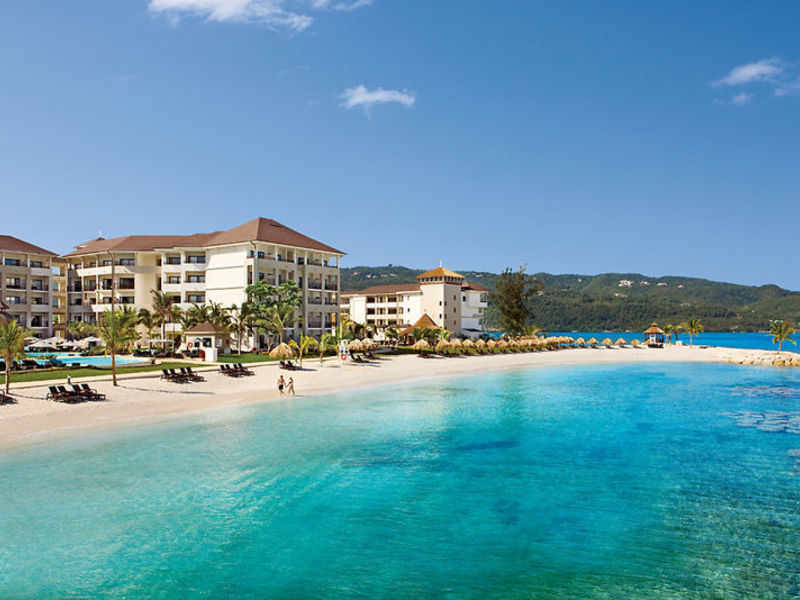 Secrets Wild Orchid