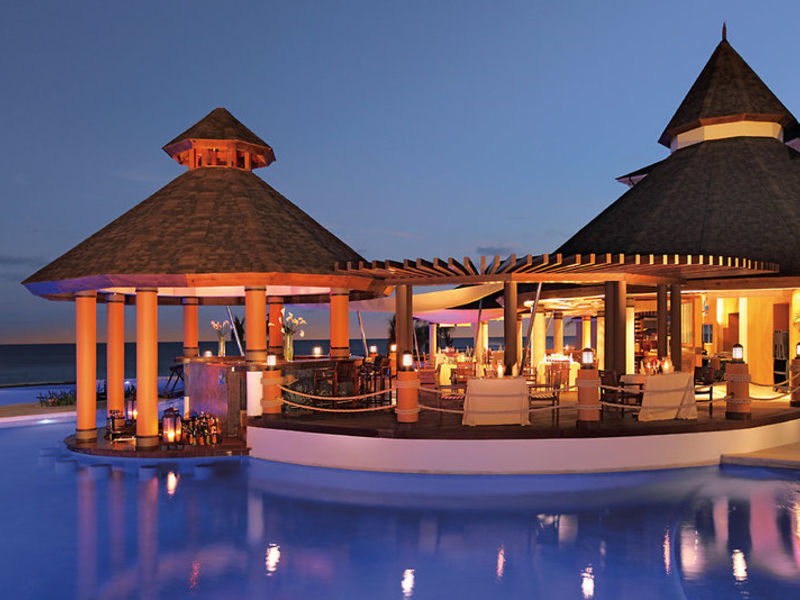 Secrets Wild Orchid