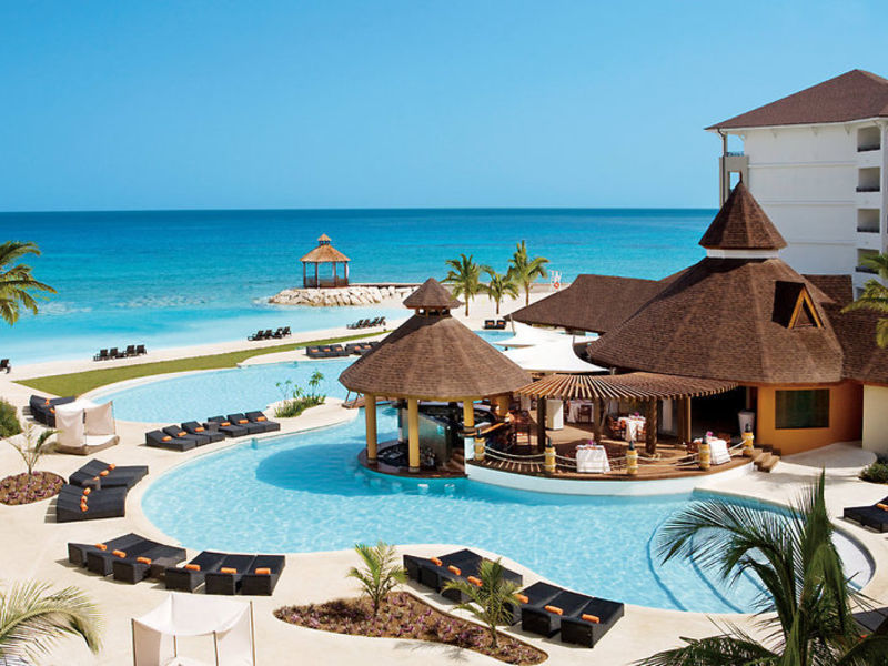 Secrets Wild Orchid