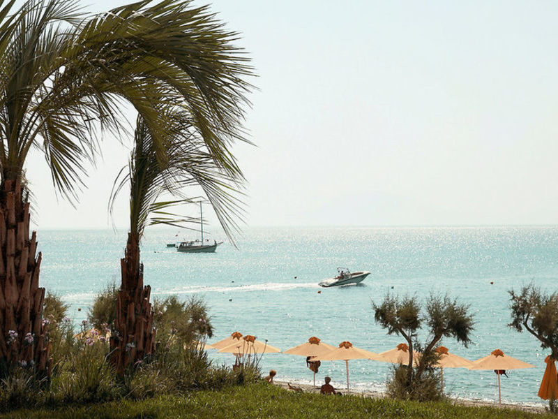 SENTIDO Carda Atlantica