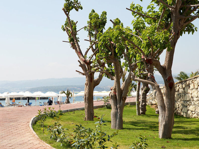 SENTIDO Gold Island