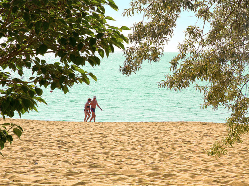 SENTIDO Marea
