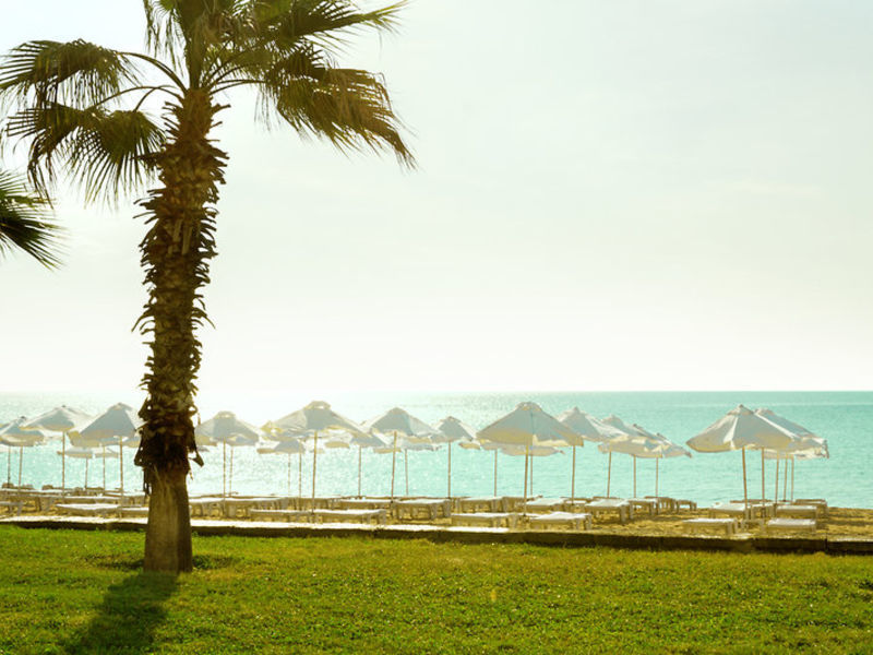 SENTIDO Marea