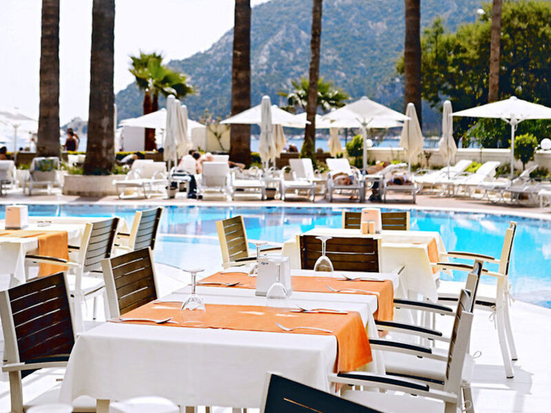 SENTIDO Sea Star