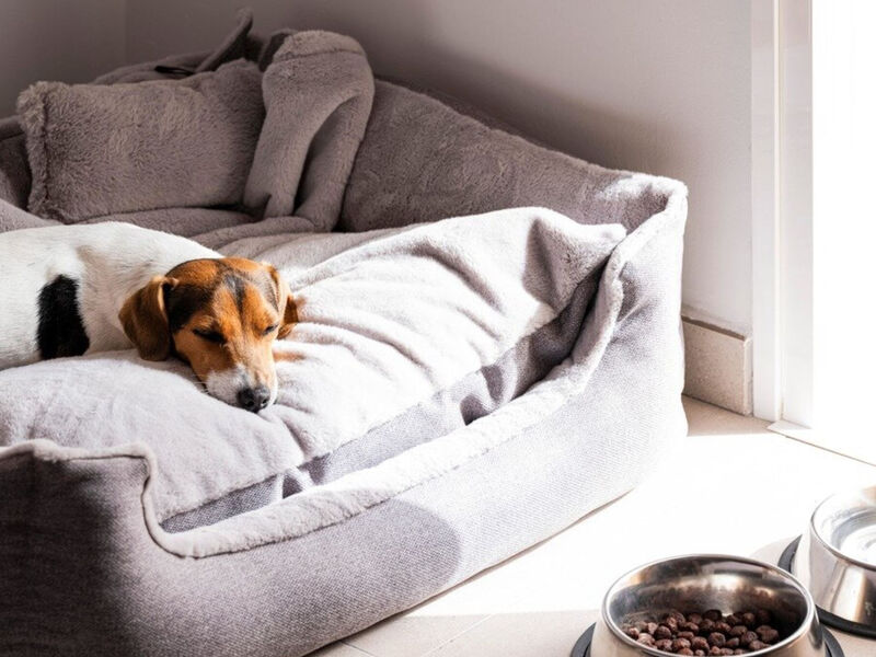 Sholeo Lodge Los Gigantes