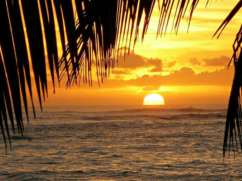 Sirenis Cocotal & Tropical