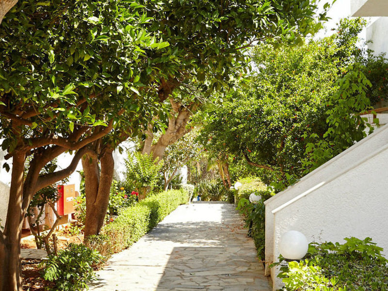 smartline Kyknos Beach