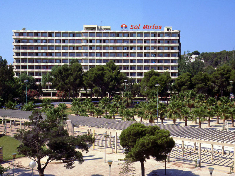 Sol Mirlos Tordos