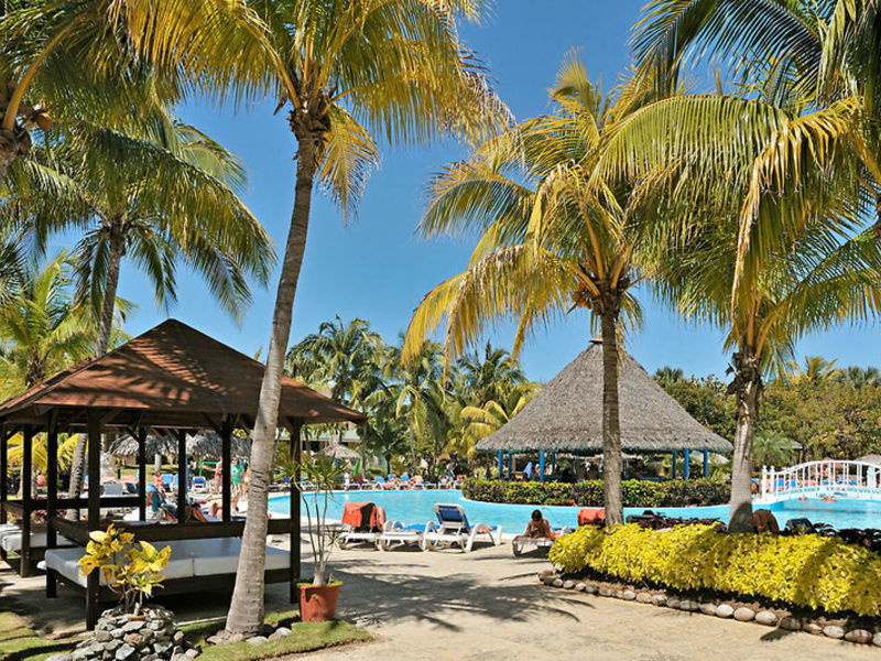 Sol Palmeras