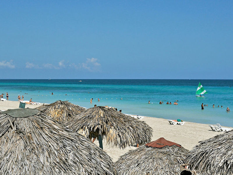 Sol Palmeras