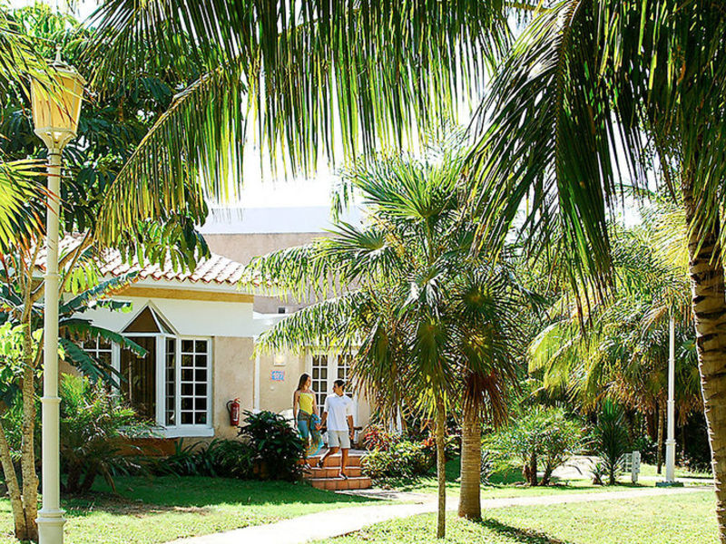 Sol Palmeras